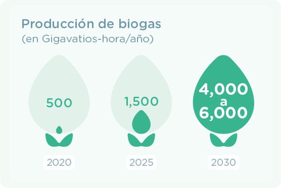 biogaz_es